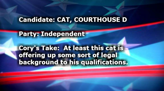 CAT COURTHOUSE D