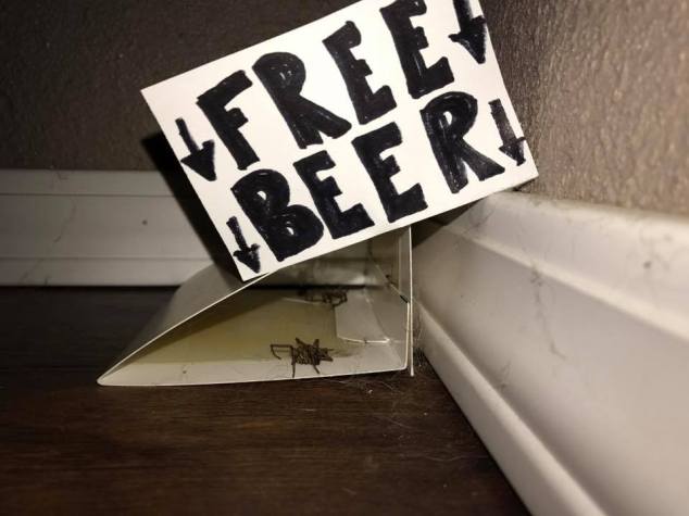 FREE BEER